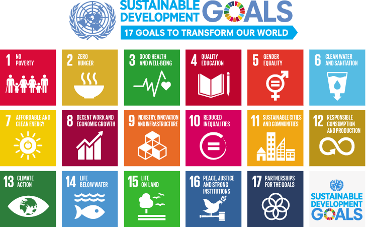 Graphic listing the 17 sustainable development goals